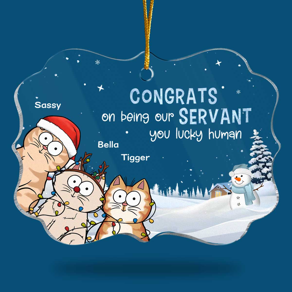Félicitations pour votre service ! Ornement personnalisé en forme de chat en acrylique, forme Benelux. Cadeau de Noël pour les propriétaires et les amoureux des animaux.